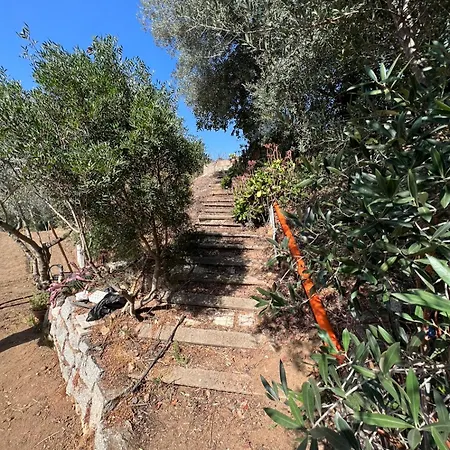 Holiday home Casa Vacanza Tortoli-arbatax A 14 Minuti Dal Mare