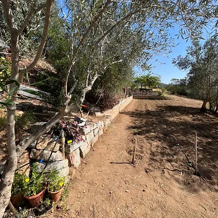 Holiday home Casa Vacanza Tortoli-arbatax A 14 Minuti Dal Mare Tortoli